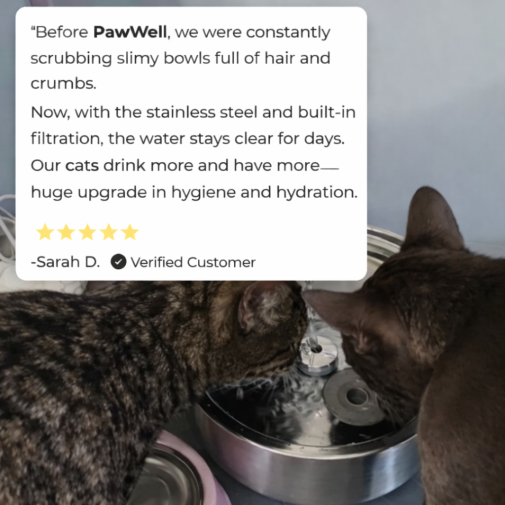 Pawwell™ Fountain